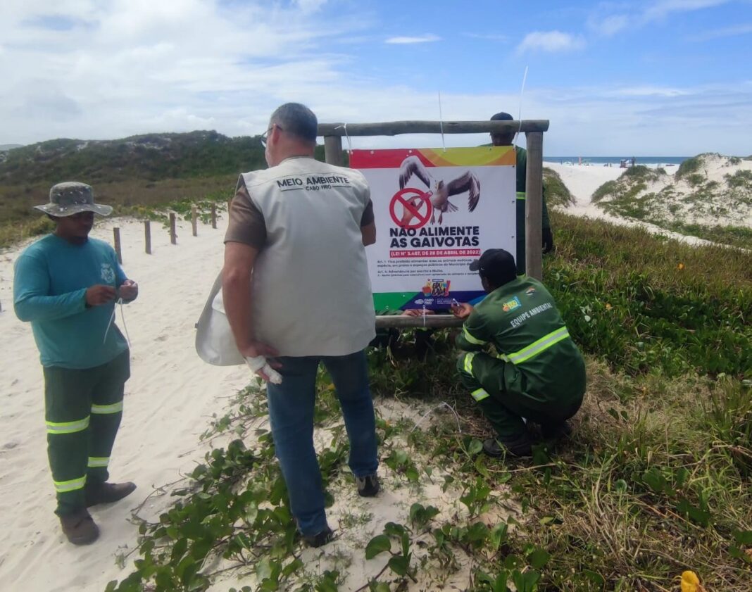 IMG-20251030-WA0304(1)