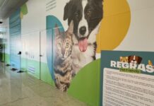 Cães e gatos esperam por um novo lar na última feira de 2025 em Rio das Ostras